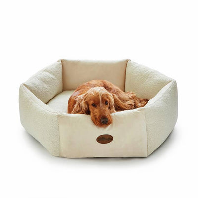 Argos Silentnight Deep Sleep Pet Bed - Small- Buy online at McGrocer
