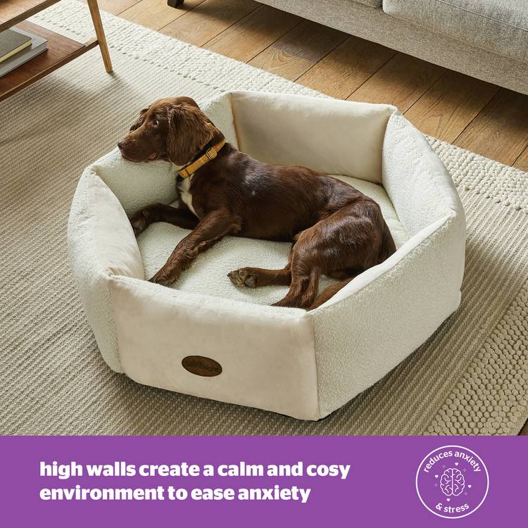 Silentnight small Deep Sleep pet bed 60cm, UK version