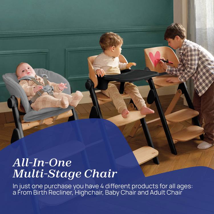 Chicco Meraviglia Ebony multi-functional highchair, UK version