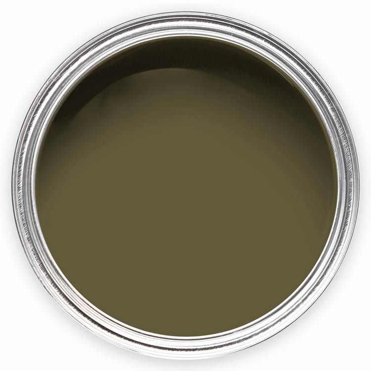 Annie Sloan Olive matt wall paint 2.5L (British brand)