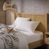 Snuggledown duck feather and down medium pillow 4-pack, UK version