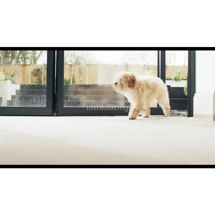 Bissell SpotClean Pet carpet cleaner 1.1L (British brand)