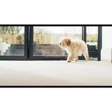 Bissell SpotClean Pet carpet cleaner 1.1L (British brand)