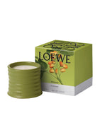 LOEWE Perfumes small pistachio candle 170g - British product