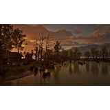 Park Ranger Simulator PS5 game disc, imported from the UK