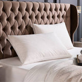 Snuggledown goose down pillow 2 pack medium soft - British product