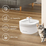 Noerden Pawquench pet water fountain 2L - British product