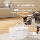 Noerden Pawquench pet water fountain 2L - British product