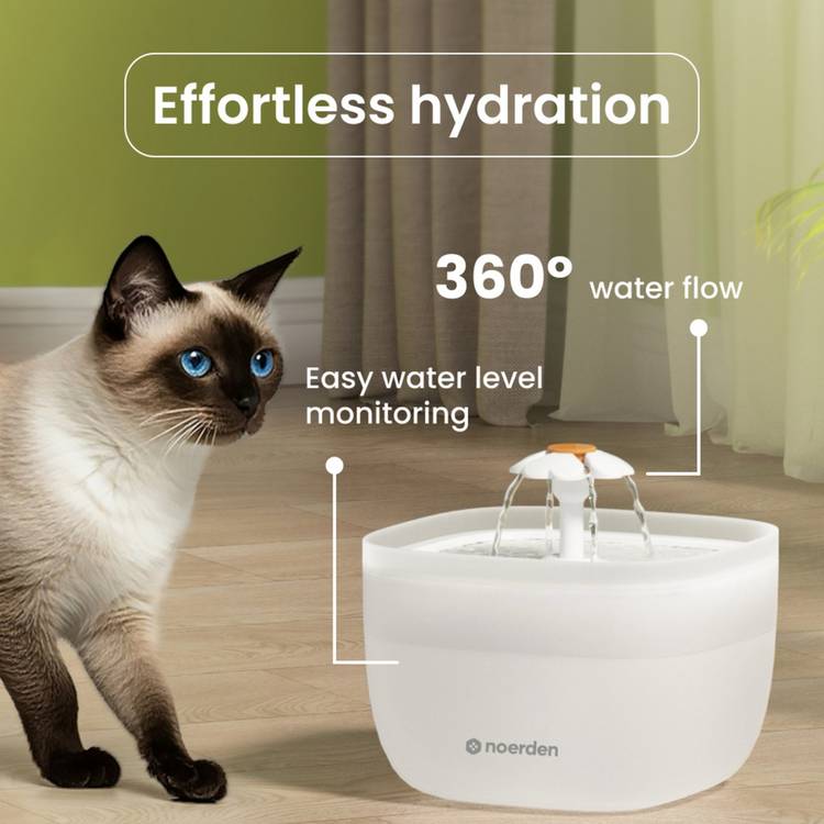 Noerden Pawquench pet water fountain 2L - British product