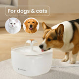 Noerden Pawquench pet water fountain 2L - British product