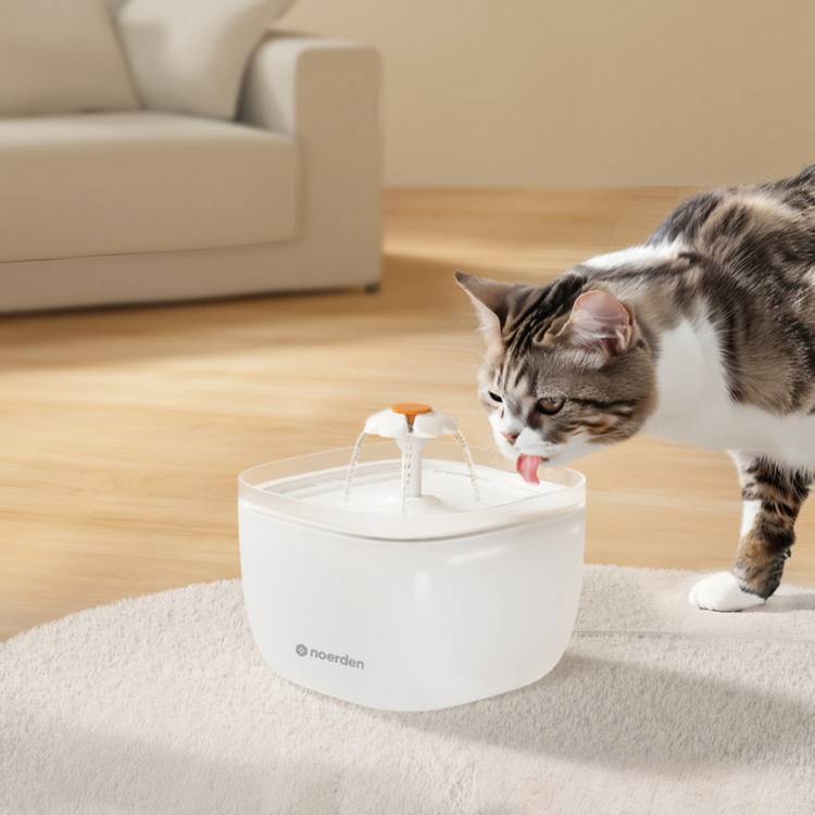 Noerden Pawquench pet water fountain 2L - British product