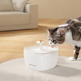 Noerden Pawquench pet water fountain 2L - British product