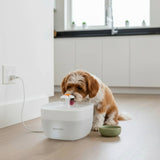 Noerden Pawquench pet water fountain 2L - British product