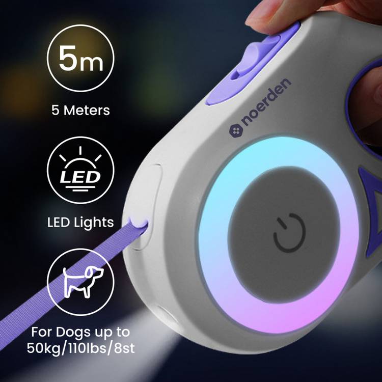 Noerden Purple & Cream Flexi Lead LED retractable dog lead 5m - British product