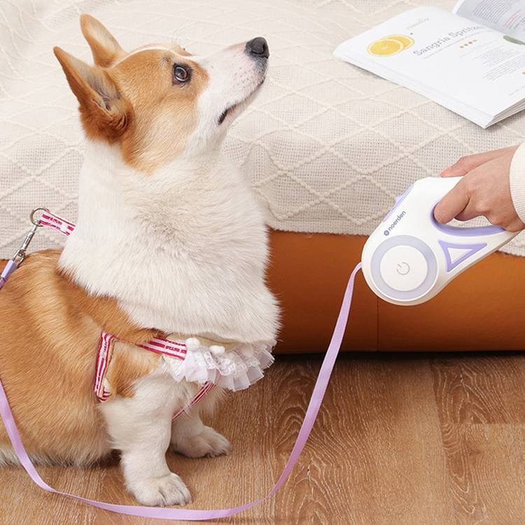 Noerden Purple & Cream Flexi Lead LED retractable dog lead 5m - British product