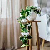 Artificial white trailing flowers ceramic pot 26cm - British product