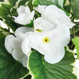 Artificial white trailing flowers ceramic pot 26cm - British product