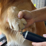 Noerden PawMani wireless nail grinder for dogs and cats, UK version