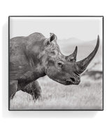 Harrods Chantecaille Rhinoceros Luminous Eye Shade Powder Eyeshadow- Buy online at McGrocer