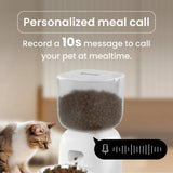 Noerden Petplate smart Wi-Fi pet feeder 3L - British product
