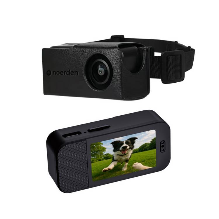 Noerden PetPOV HD pet camera collar black, imported from the UK