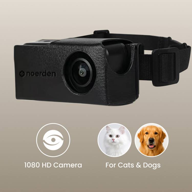 Noerden PetPOV HD pet camera collar black, imported from the UK