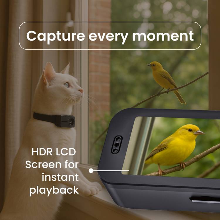Noerden PetPOV HD pet camera collar black, imported from the UK