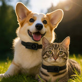 Noerden PetPOV HD pet camera collar black, imported from the UK