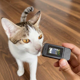 Noerden PetPOV HD pet camera collar black, imported from the UK