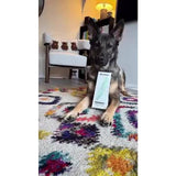 Noerden Trimmy portable pet groomer, imported from the UK