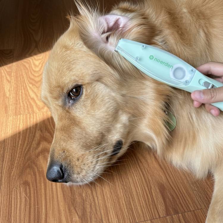 Noerden Trimmy portable pet groomer, imported from the UK