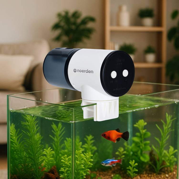 Noerden Splashy automatic fish feeder 200ml (British brand)