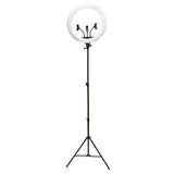 Argos Rio Professional Ring Light - Large- Buy online at McGrocer