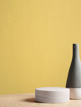 Next Graham & Brown Lilium Yellow Resistance Matt Emulsion Paint- Buy online at McGrocer