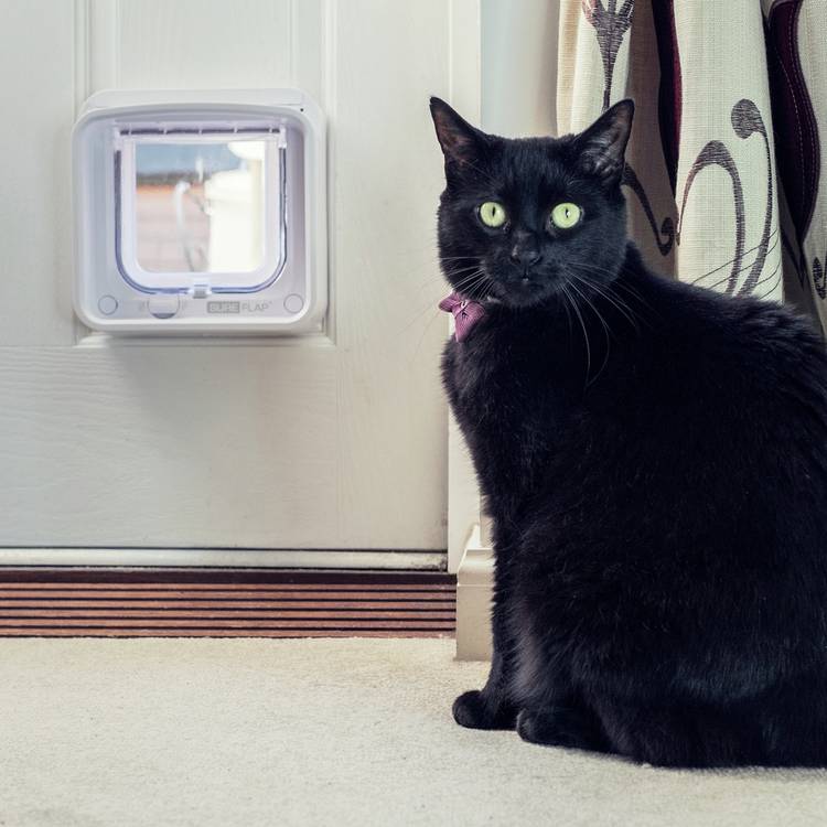 SureFlap cat flap Connect with Hub, imported from the UK