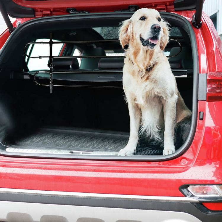 Streetwize heavy-duty car dog guard - British product