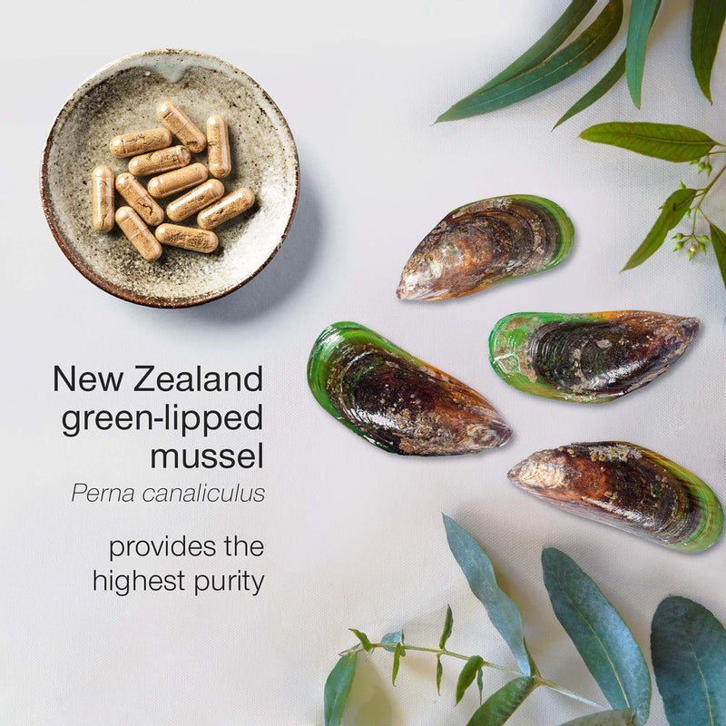 SuperSelf green lipped mussel supplement 1000mg 90 capsules - British product