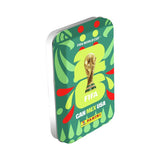 Panini FIFA World Cup 2026 sticker pocket tin, imported from the UK