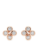 Harrods Boodles Rose Gold and Diamond Be Boodles Earrings- Buy online at McGrocer