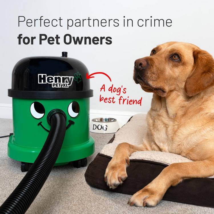 Henry Pet XL bagged cylinder vacuum cleaner (British brand)