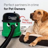 Henry Pet XL bagged cylinder vacuum cleaner (British brand)