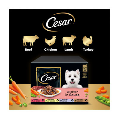 Cesar wet dog food pouches mixed selection 12x100g - British product