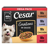 ASDA Cesar Deliciously Fresh Dog Pouches Favourites in Gravy 40x100g- Buy online at McGrocer