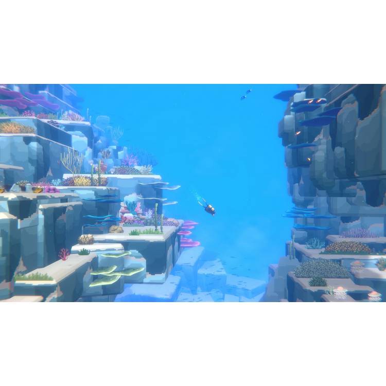 Dave the Diver Complete Edition Nintendo Switch 2 game, imported from the UK