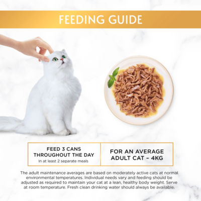 Gourmet Gold Salmon wet cat food 85g, UK version