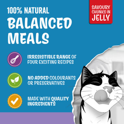 Felix Original Mixed Selection cat food in jelly 12x85g - British product