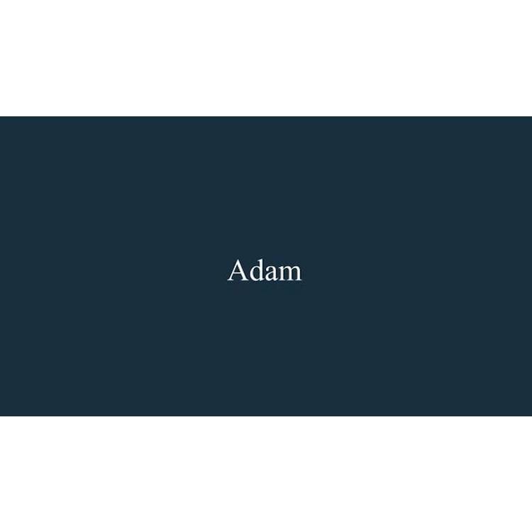 Adam Wyoming electric fire suite white black freestanding UK version