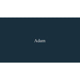Adam Wyoming electric fire suite white black freestanding UK version