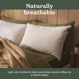 Sleepeezee feather and down medium pillow 74x48cm - British product