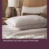 Sleepeezee Hotel Luxe medium pillow 2 pack (British brand)